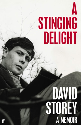 A Stinging Delight by David Storey