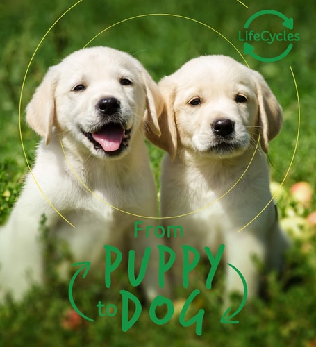 Lifecycles - Pup To Dog by Camilla de la Bedoyere