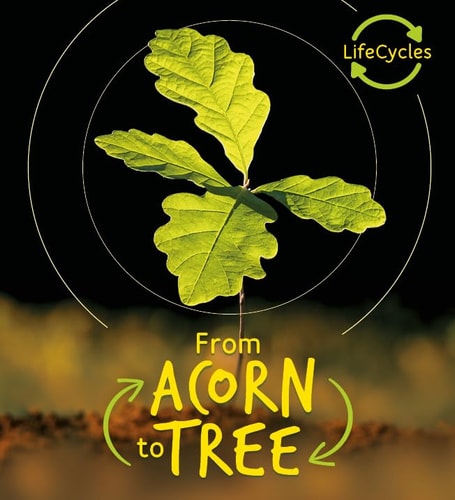 Lifecycles - Acorn to Tree by Camilla de la Bedoyere