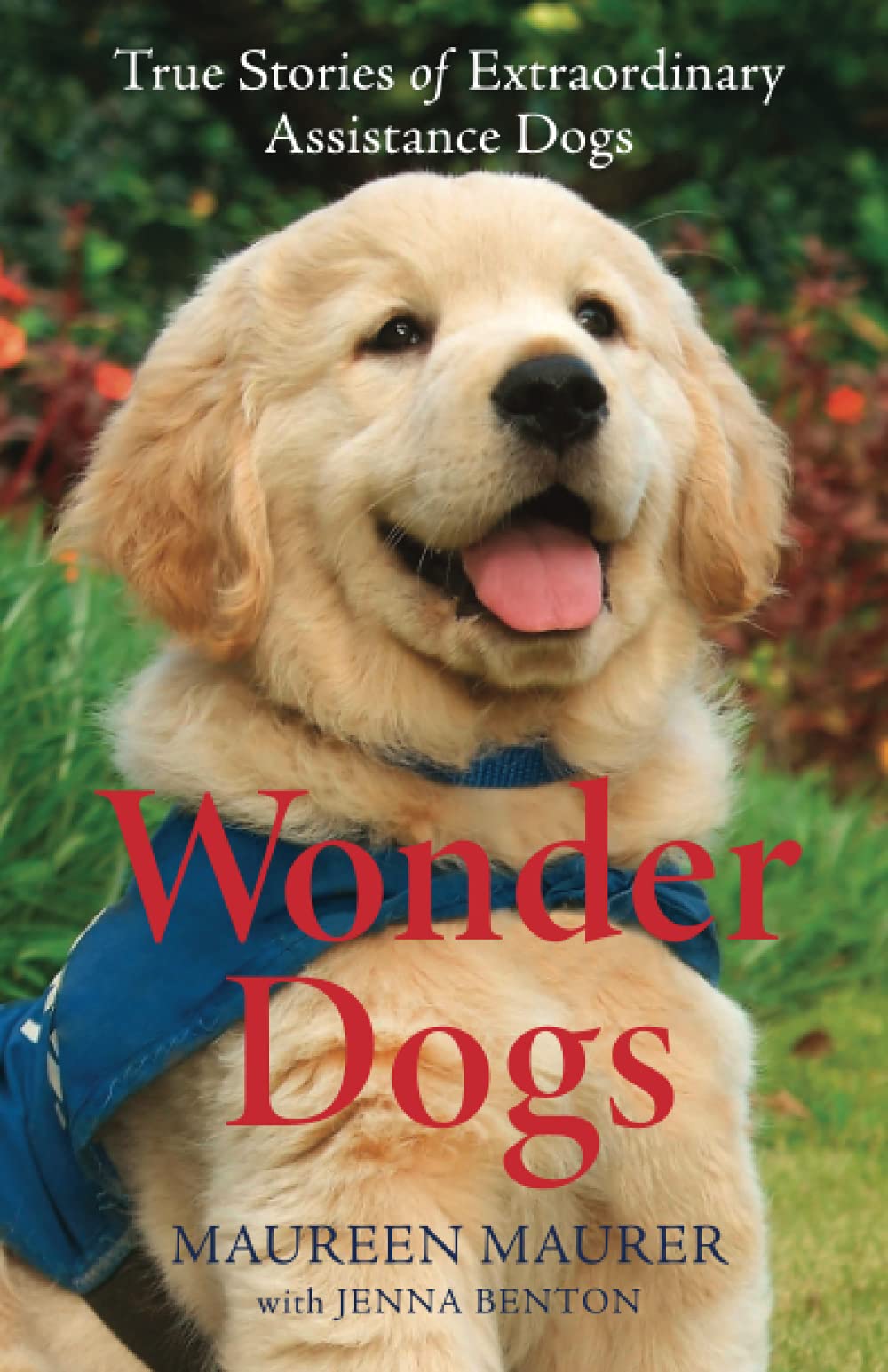 Wonder Dogs by Maurer
