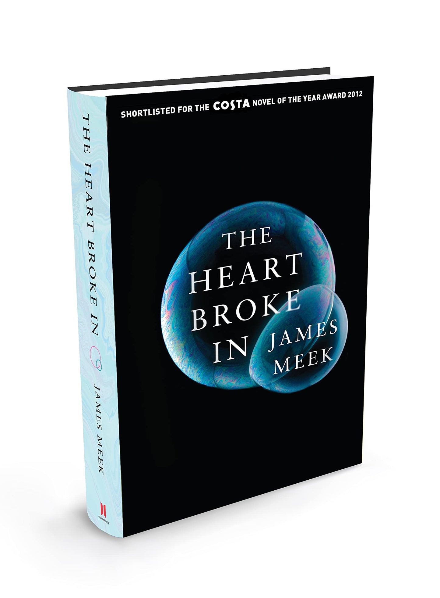 The Heart Broke In by James Meek