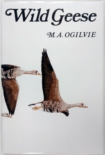 Wild Geese by Malcolm Ogilvie