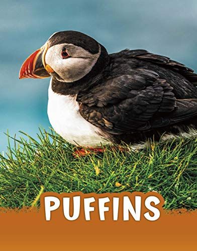Puffins (Animals) by Jaclyn Jaycox