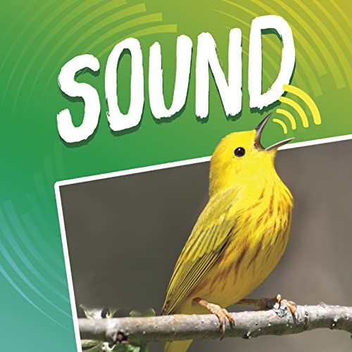 Sound (Light and Sound) by Michael Dahl