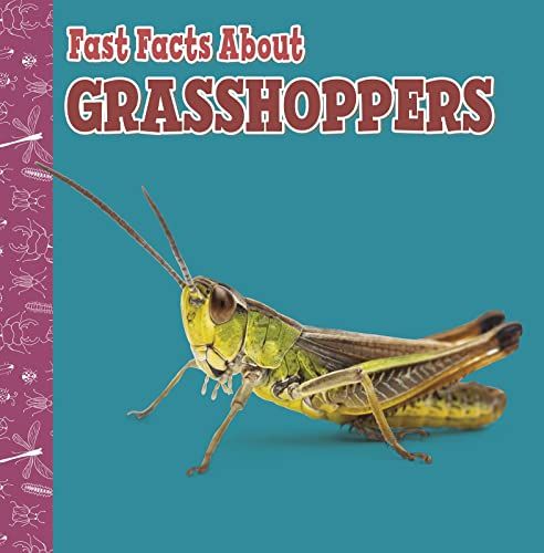 Fast Facts About Grasshoppers by Julia Garstecki