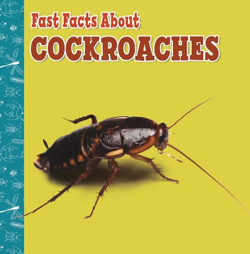 Fast Facts About Cockroaches (Fast Facts About Insects and Spiders) by Lisa J. Amstutz