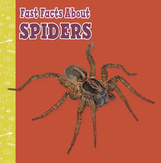 Fast Facts About Spiders (Fast Facts About Insects and Spiders) by Julia Garstecki