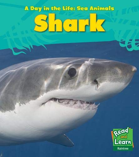 Shark (Day in the Life. Sea Animals) by Louise Spilsbury