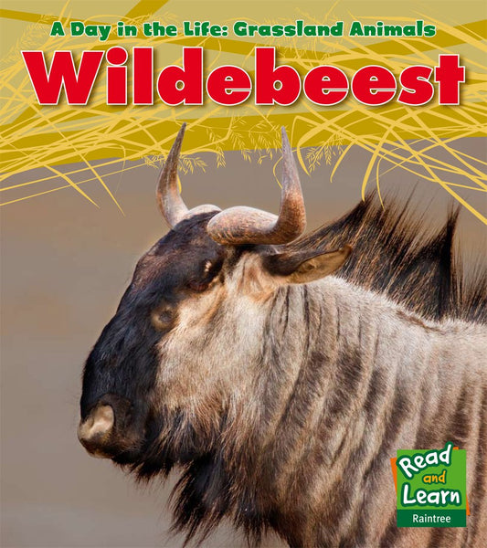 Wildebeest (Day in the Life. Grassland Animals) by Louise A. Spilsbury