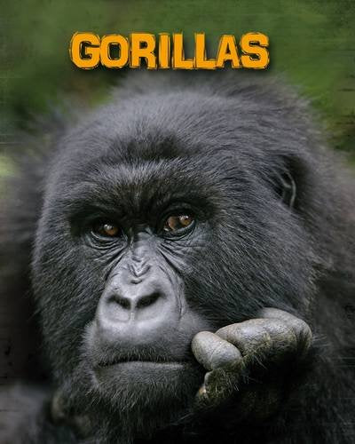 Gorillas (Infosearch: Living in the Wild: Primates) by Lori McManus