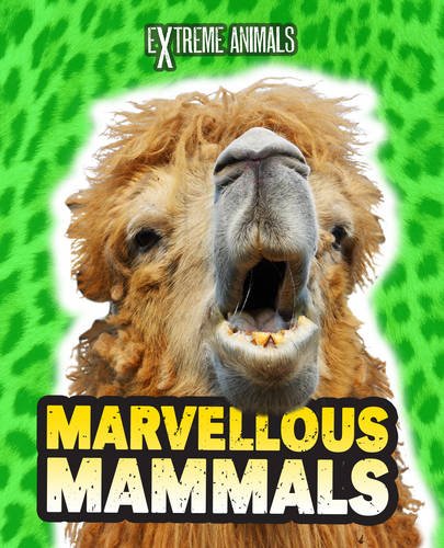 Marvellous Mammals (Extreme Animals) by Isabel Thomas