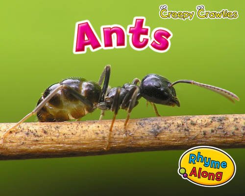 Ants (Creepy Crawlies) by Rebecca Rissman