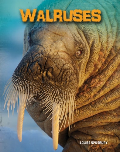 Walruses (Living in the Wild. Sea Mammals) by Louise Spilsbury