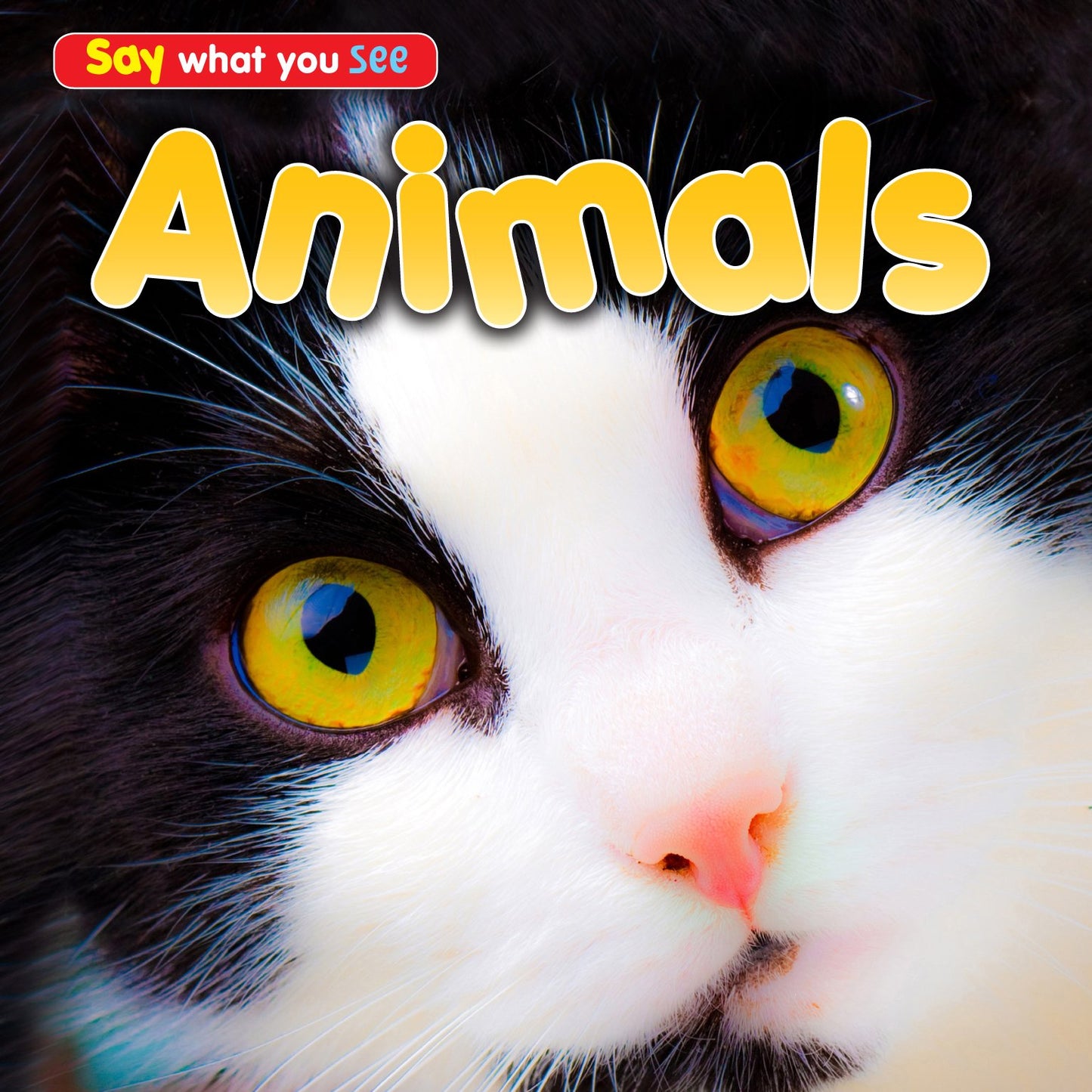 Animals (Say What You See!) by Rebecca Rissman