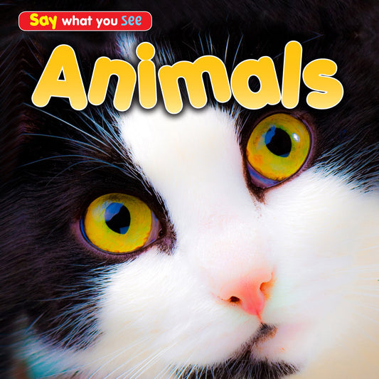 Animals (Say What You See!) by Rebecca Rissman