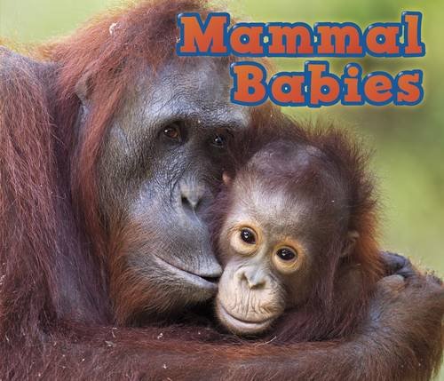Mammal Babies (Animal Babies) by Catherine Veitch