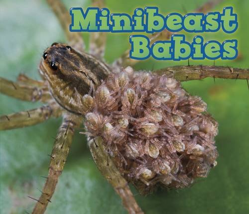 Minibeast Babies (Acorn: Animal Babies) by Catherine Veitch