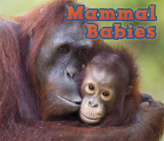 Mammal Babies (Animal Babies) by Catherine Veitch