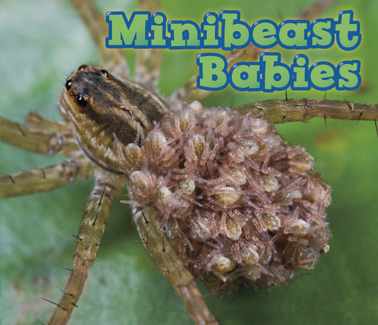 Minibeast Babies (Acorn: Animal Babies) by Catherine Veitch