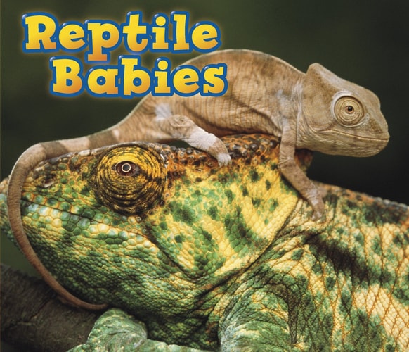Reptile Babies (Animal Babies) by Catherine Veitch