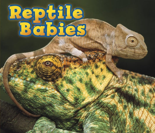 Reptile Babies (Animal Babies) by Catherine Veitch