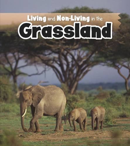 Living and Non-Living in the Grasslands (Is It Living or Non-Living?) by Rebecca Rissman
