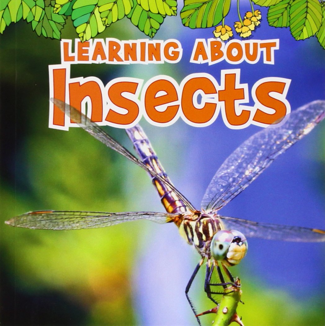 Learning about Insects (Natural World) by Catherine Veitch