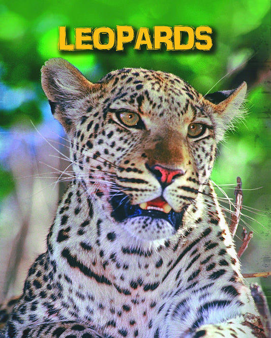 Leopards (Living in the Wild. Big Cats) by Claire Throp