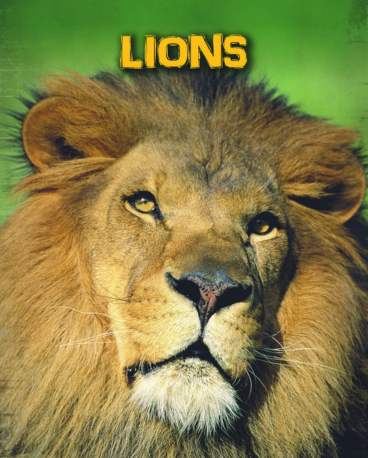 Lions (Living in the Wild. Big Cats) by Claire Throp