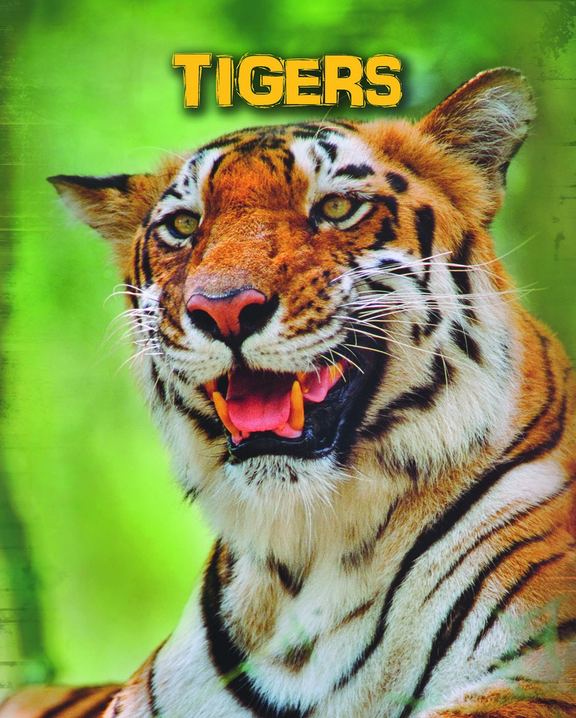 Tigers (Living in the Wild. Big Cats) by Anna Claybourne
