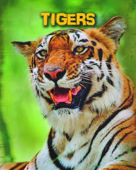 Tigers (Living in the Wild. Big Cats) by Anna Claybourne