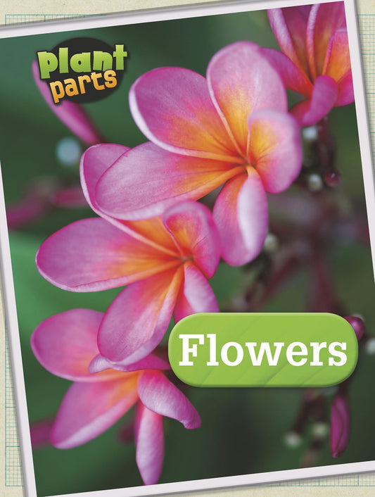Flowers (Plant Parts) by Melanie Waldron