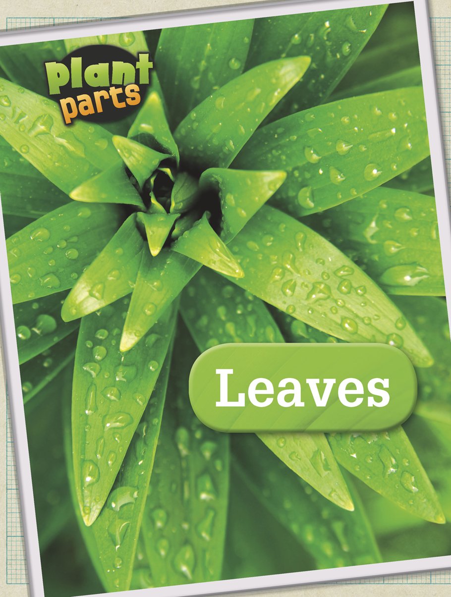 Leaves (Raintree Perspectives: Plant Parts) by Melanie Waldron