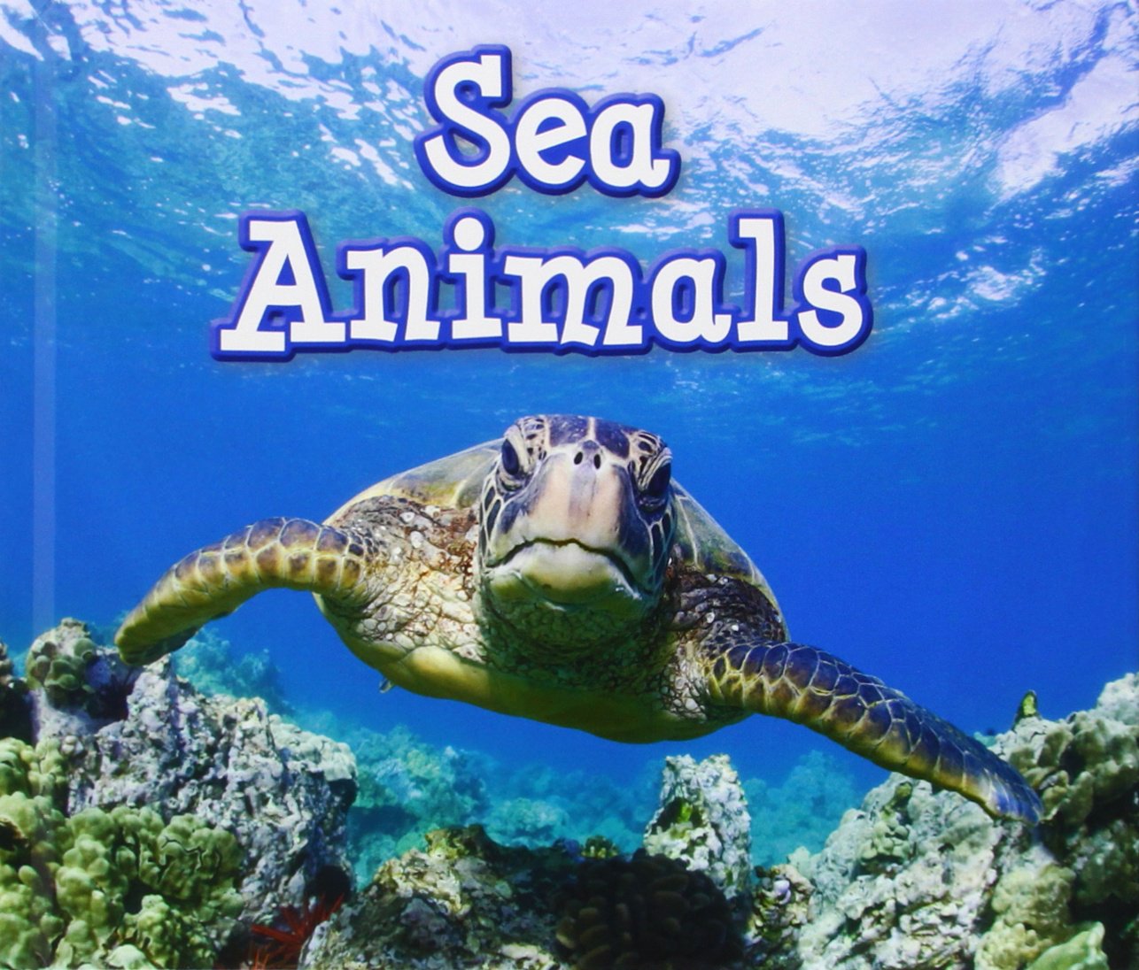 Sea Animals (Acorn: Animals in Their Habitats) by Sian Smith