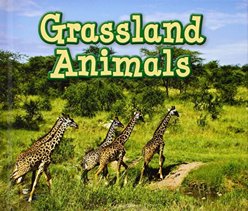 Grassland Animals (Acorn: Animals in Their Habitats) by Sian Smith