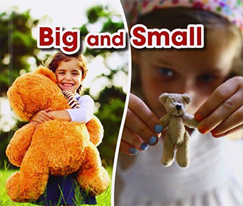 Big and Small (Acorn: Opposites) by Sian Smith