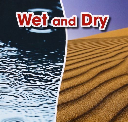 Wet and Dry (Acorn: Opposites) by Sian Smith