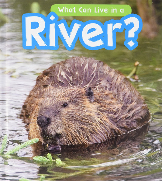 What Can Live in a River? (Read and Learn: What Can Live There?) by John-Paul Wilkins