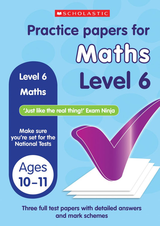 Maths Level 6 (Practice Papers National Tests) by Paul Hollin