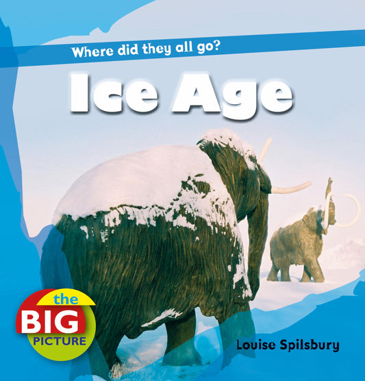 Ice Age (The Big Picture) by Louise Spilsbury