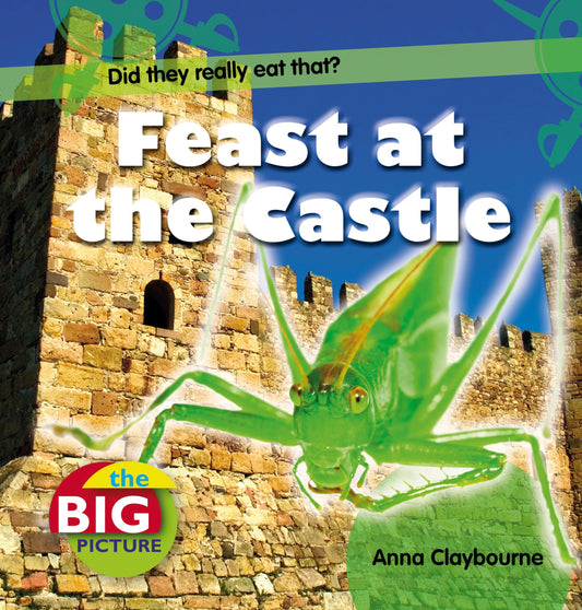 Feast at the Castle (The Big Picture) by Anna Claybourne