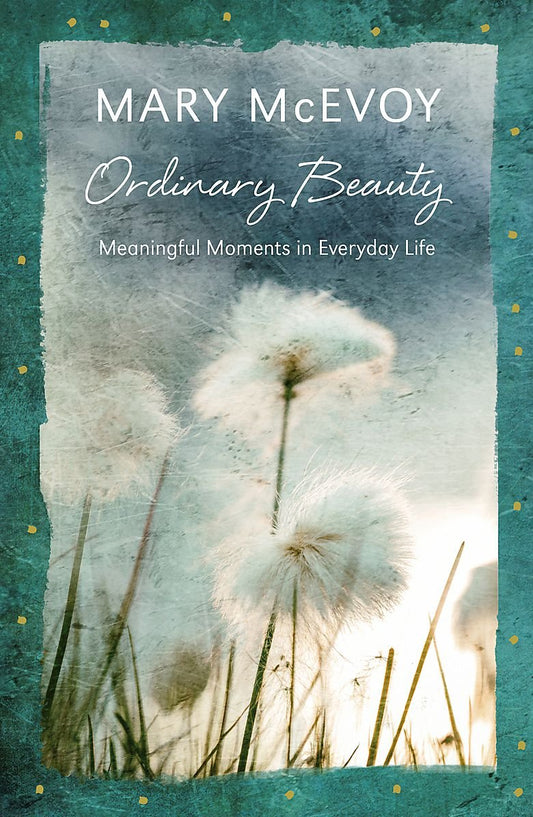 Ordinary Beauty by Mary McEvoy