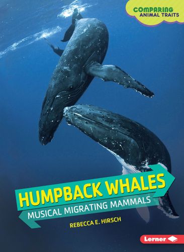 Humpback Whales: Musical Migrating Mammals (Comparing Animal Traits) by Rebecca E. Hirsch