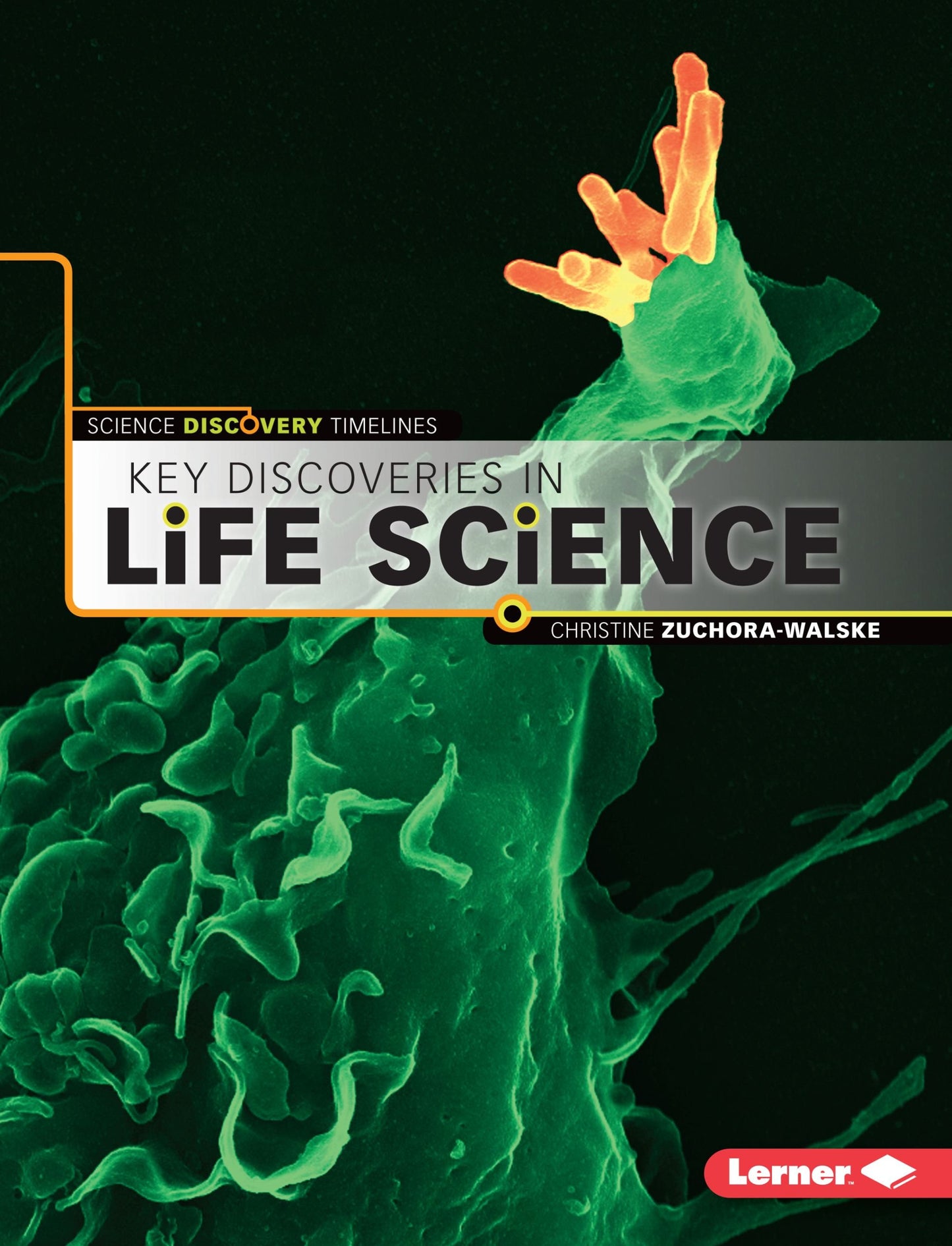 Key Discoveries in Life Science (Science Discovery Timelines) by Christine Zuchora-Walske