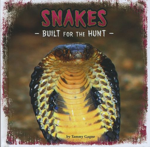 Snakes (First Facts: Predator Profiles) by Tammy Gagne