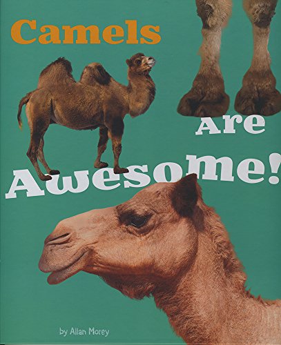 Camels Are Awesome! (A+ Books: Awesome Asian Animals) by Allan Morey