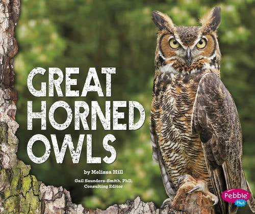 Great Horned Owls (Pebble Plus: Owls) by Melissa Hill