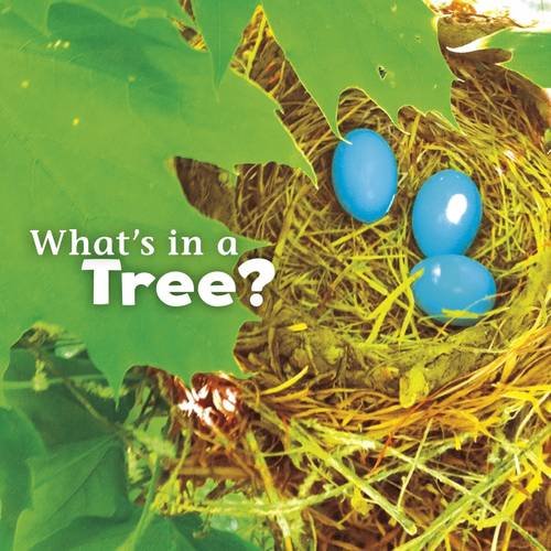 What's in a Tree? (Little Pebble: What's in There?) by Martha E H Rustad