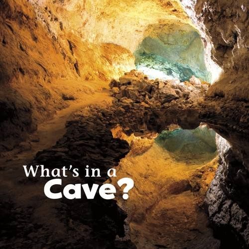 What's in a Cave? (Little Pebble: What's in There?) by Martha E H Rustad