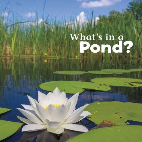 What's in a Pond? (Little Pebble: What's in There?) by Martha E H Rustad